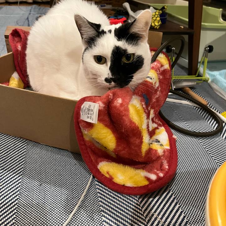 Bf2d78ae 4e97 4635 8f28 fb91e6345c89 1762873324760