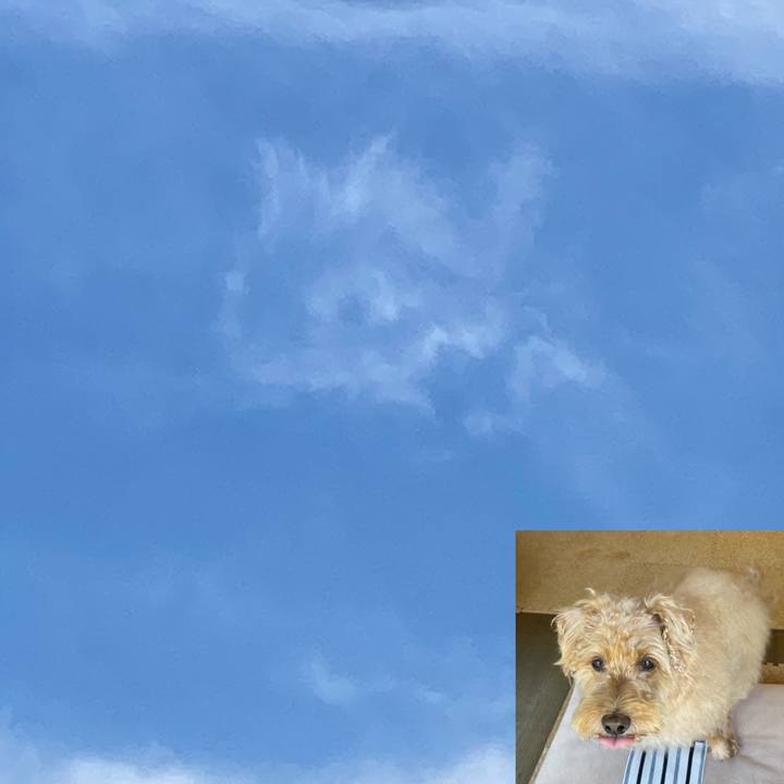 Bf2d7c29 5e58 4649 ba4a bd96afe50ab0 1697356482815