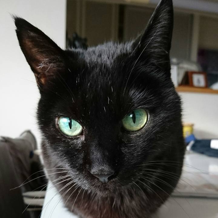 Bf2da9ba 47a9 4784 84de a284546a515e 1508313819001