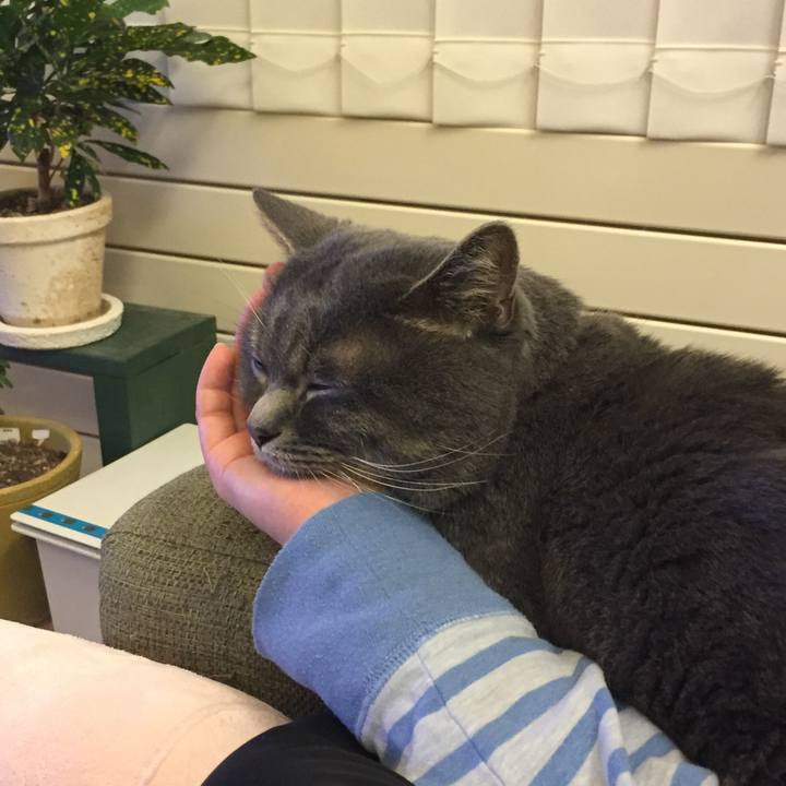 Bf2db9e7 bfc2 4f8d 9d9f f5f9b7a2f6ae 1512312107284