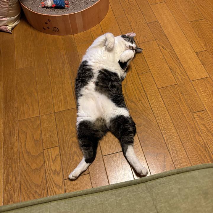 Bf2dbc35 0c78 4f83 8387 d4ef8cc9674a 1757415136878