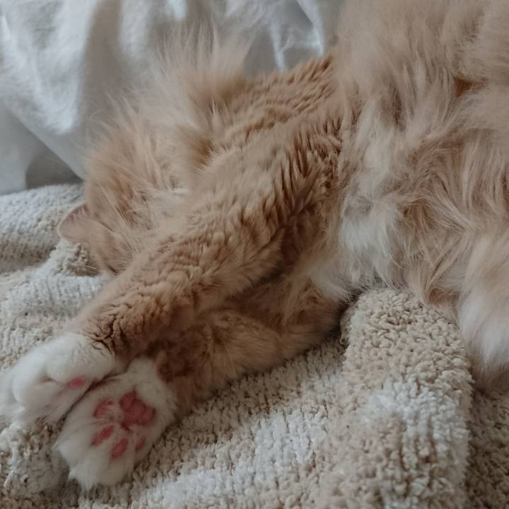 Bf2e0972 f0a1 460f b286 1af9ac6c5019 1588746555686