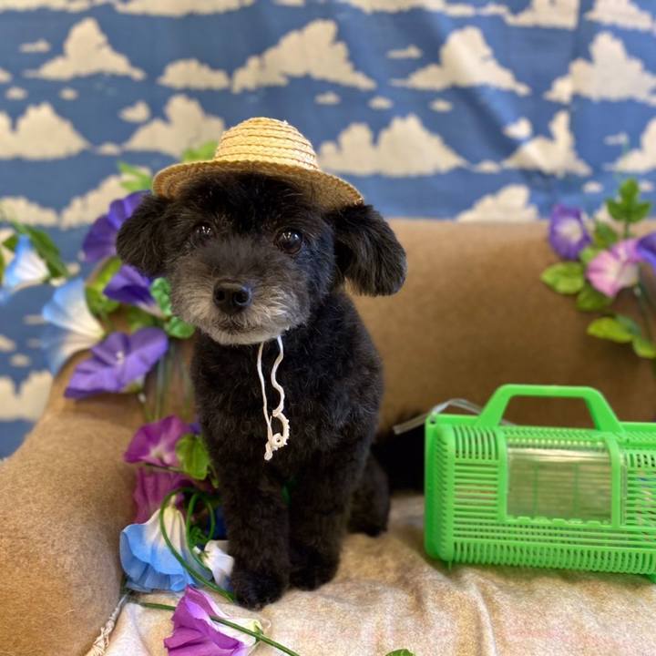 Bf2e15e9 d303 48c3 ae42 119a01e05afa 1625403816713