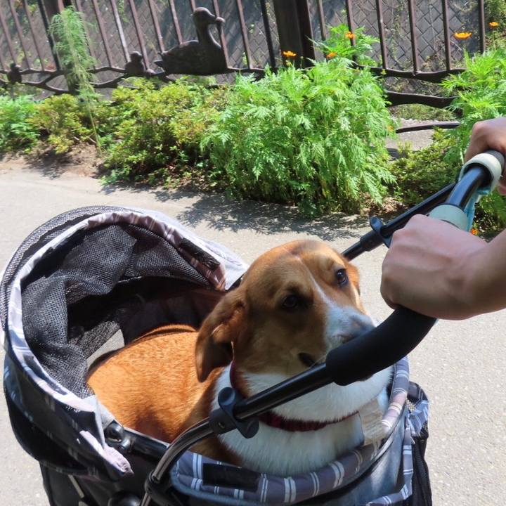 Bf2e2e75 ff00 411b 86c6 3cbfef17b2f2 1627515057338