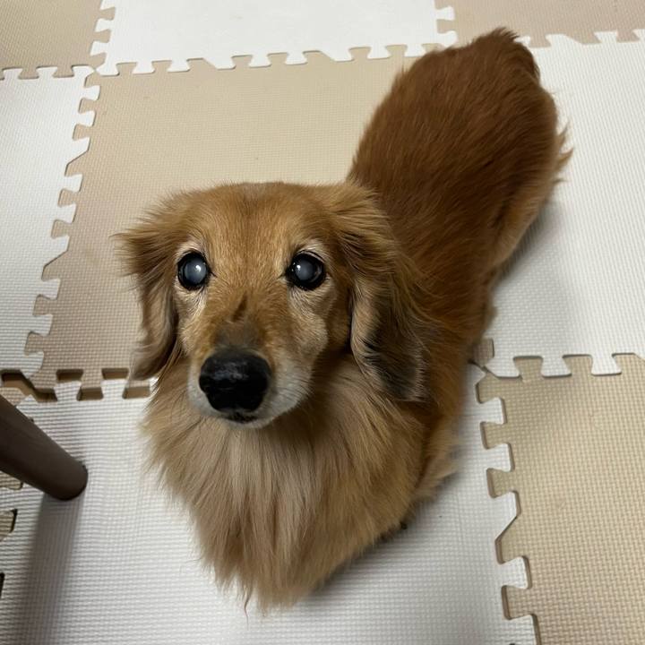 Bf2e3537 92e8 406c b869 52ef7095da24 1677239807927