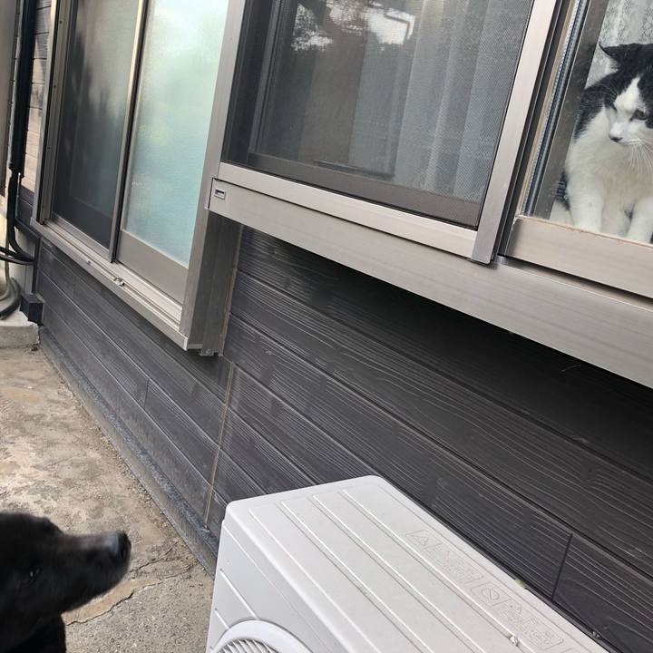 Bf2e3f50 6865 4dab 9612 4c5091a944b6 1556437184472