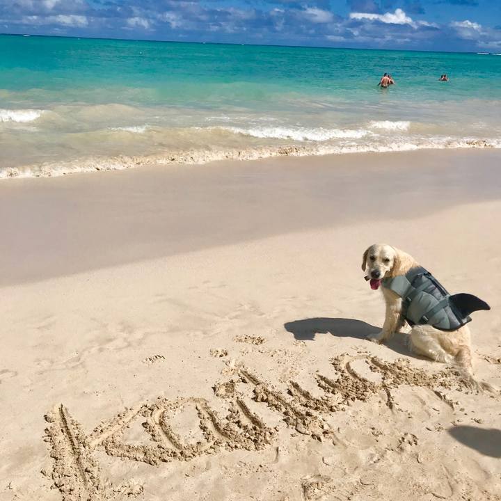 Bf2e76f4 4650 42a9 a621 e1ebf2e69e60 1549410959650