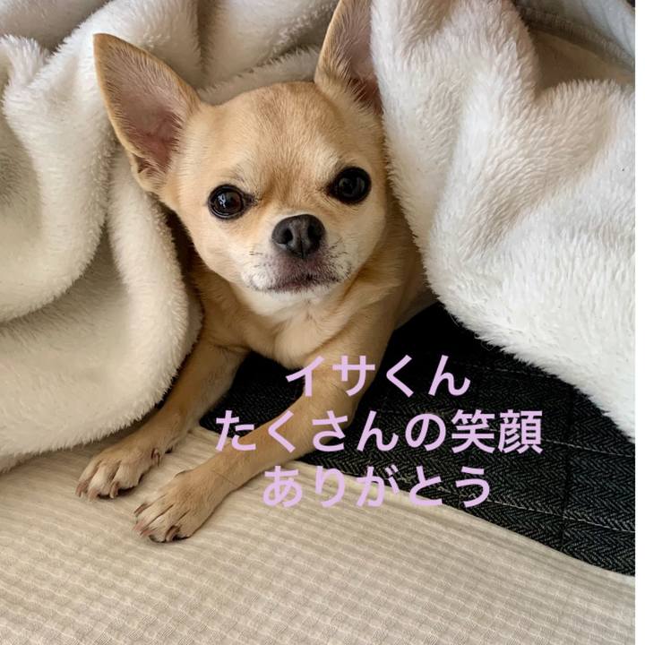 Bf2e9aa2 f5eb 4791 974a 55844928e617 1615019445940