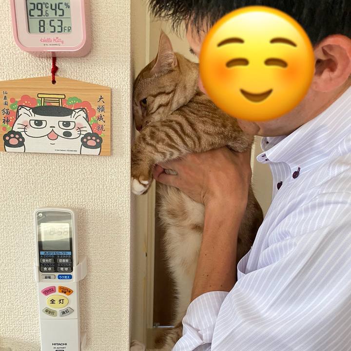 Bf2ea0dd c353 4e14 86e7 dc88d43e5159 1630114200062