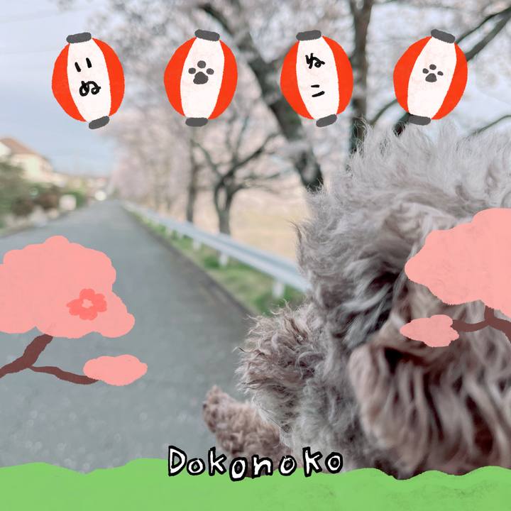 Bf2ef0de 472b 4ecb 89de a9e758597f0b 1712738787214