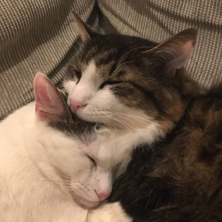 Bf2ef13c 162f 4a09 94f4 7054527c62e2 1522305732014