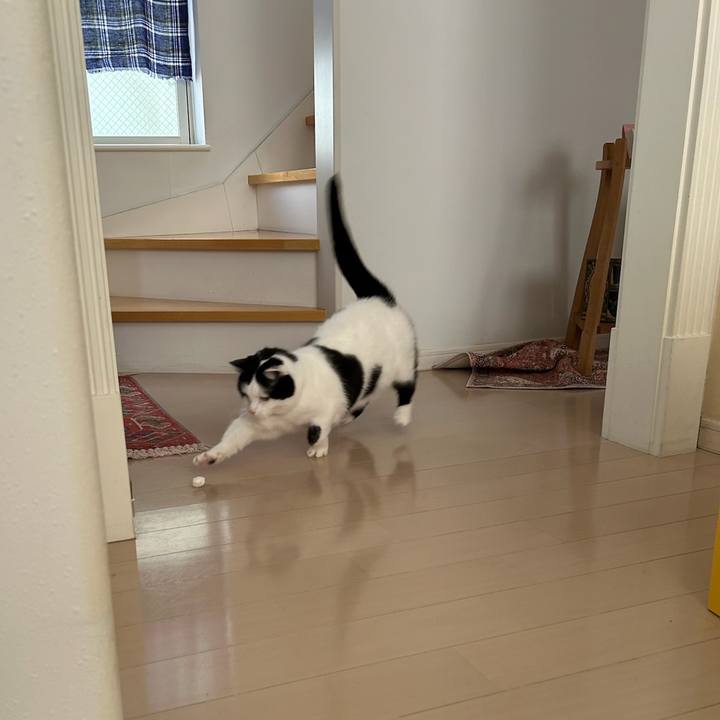 Bf2f04eb ee86 4c36 a00c 109dd794f584 1769555511714