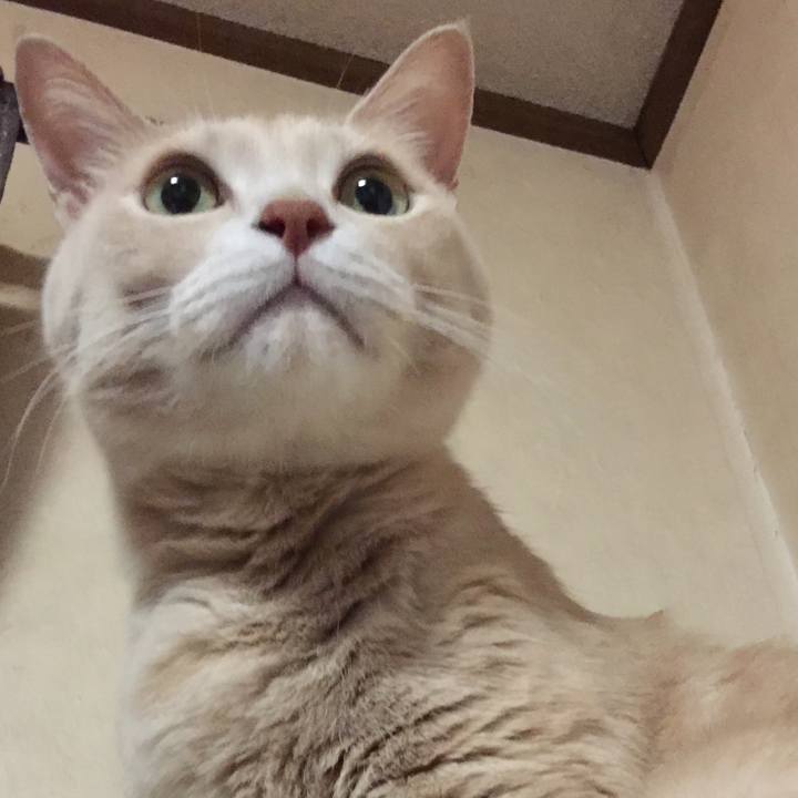 Bf2f18bf 29c0 46b0 8b92 3b0403ec2234 1552471229970