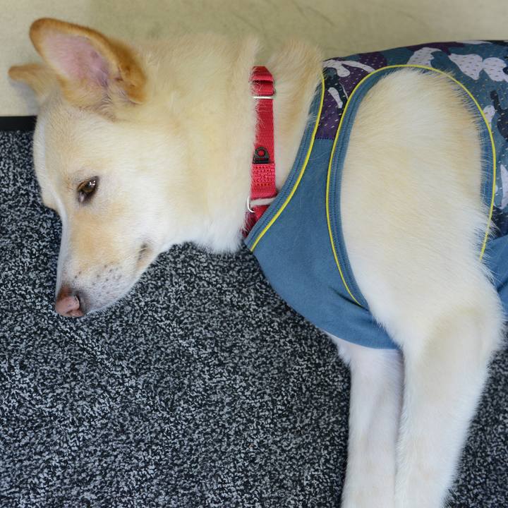 Bf2f3789 a88d 4886 b733 20c64efc45dc 1532869599858