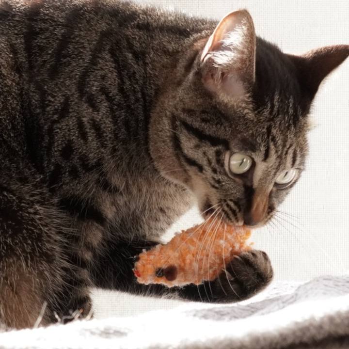 Bf2f3a5d afb6 4f7e a35c 6137c050cd49 1649247427216