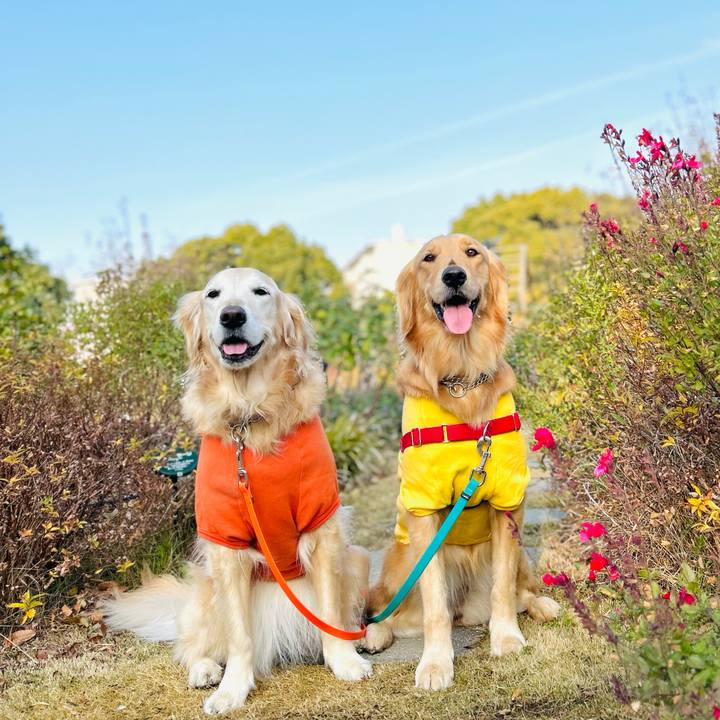 Bf2f4abc 2c1e 4fcd 8253 4e29e1dadbd0 1767143070105