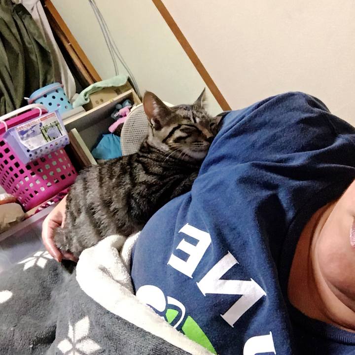 Bf2f829f 448e 43f1 871a d059829cbcbf 1537978122611