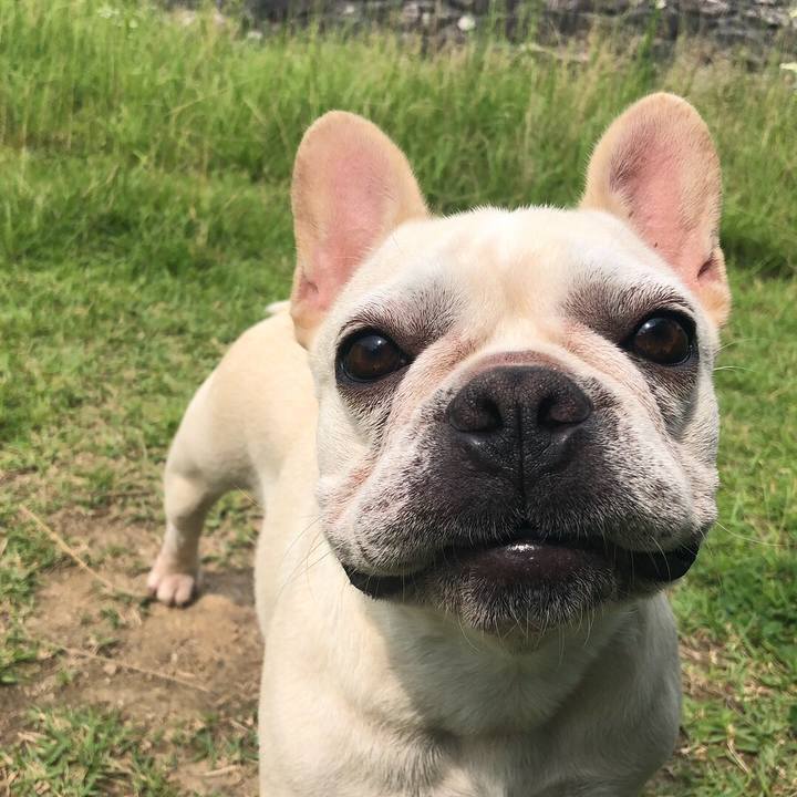 Bf2f85df 0798 4e32 9351 c5a1b1959bfb 1530019424666