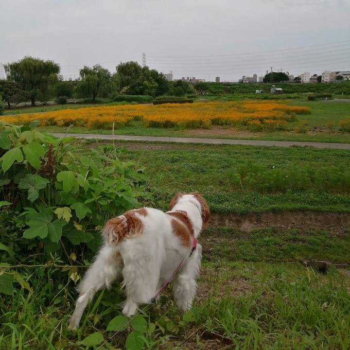 Bf2f8c7f b7d3 4672 aff5 ea9ce3a238f6 1624406471053