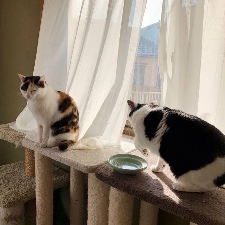 Bf2ff6b1 2287 49da b9a2 da29a0bf393b 1553824958821