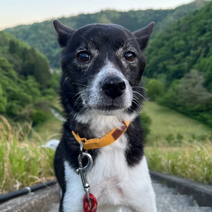 Bf302744 aa06 4a8d 826a da2d8d1b7a0c 1715692155073