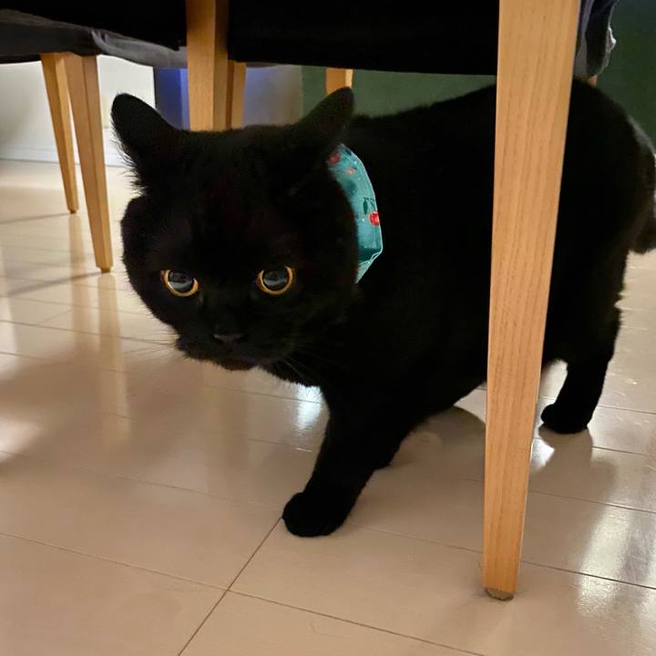 Bf305fa4 1bcf 44d7 9b57 84335c5d21eb 1652789343034