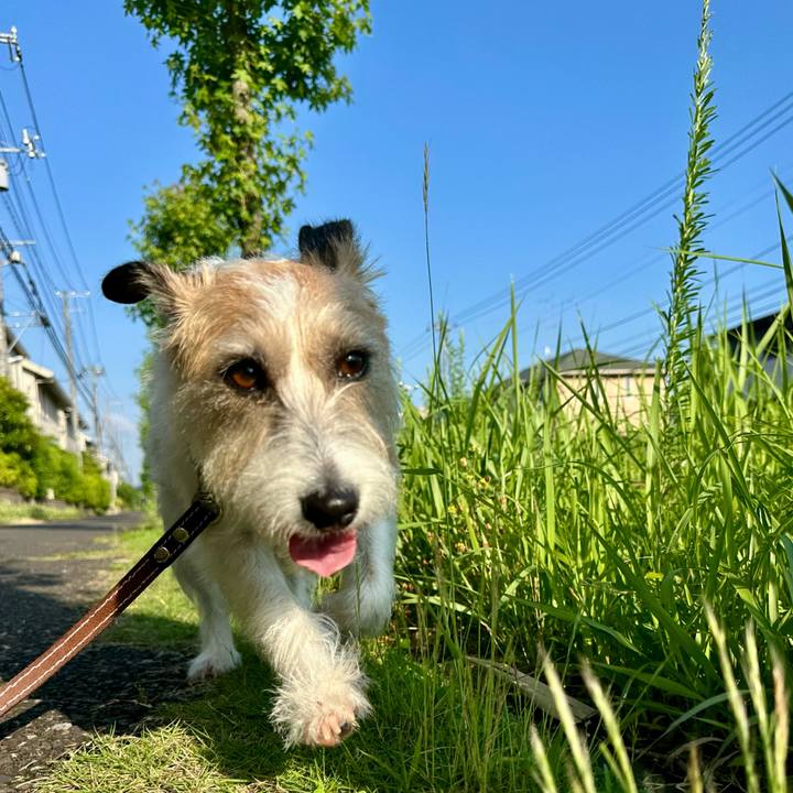 Bf307a7b 50fd 40d6 8333 ad516d8c9b6f 1750133162763