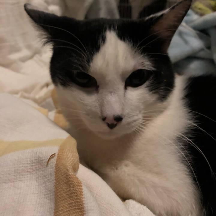 Bf308b1e 4570 44d9 b080 8f9dd7c3cac4 1584711312649