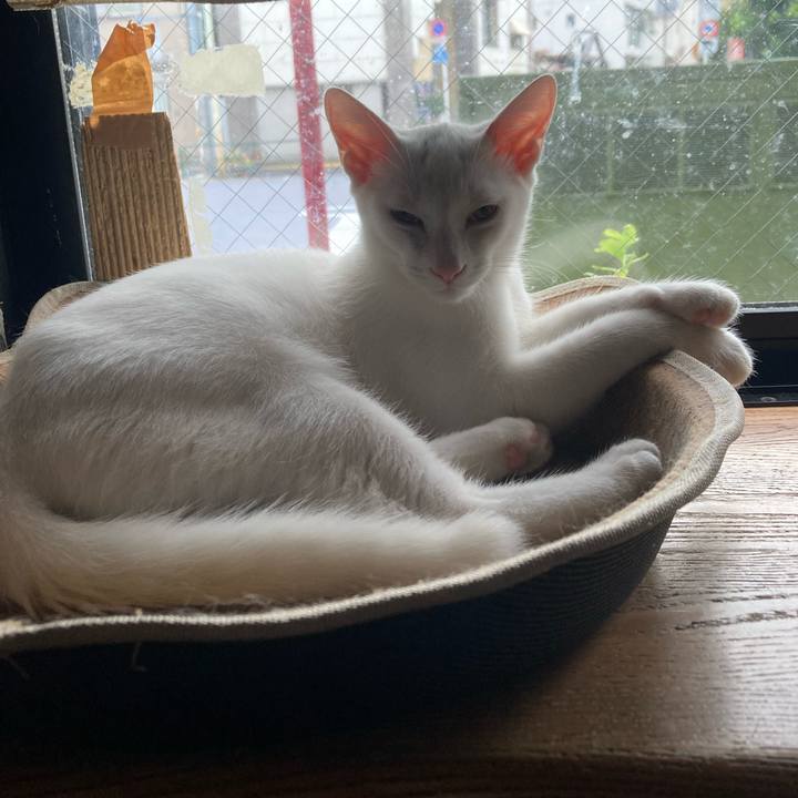 Bf30c0dd cc59 4d5f b946 28e640718c11 1695512144325