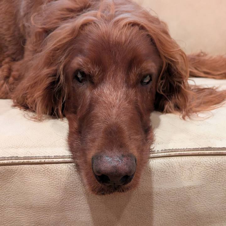 Bf30f236 ff2d 4493 82d2 ef9e49e58f25 1755643796416