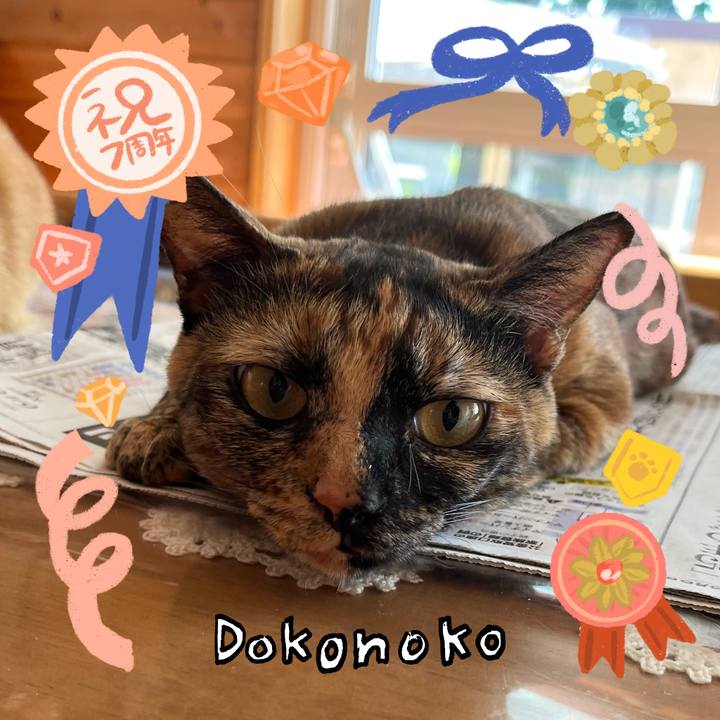 Bf31113b 5a3d 4a7f a7ab c4a33a9d3eea 1686011820302