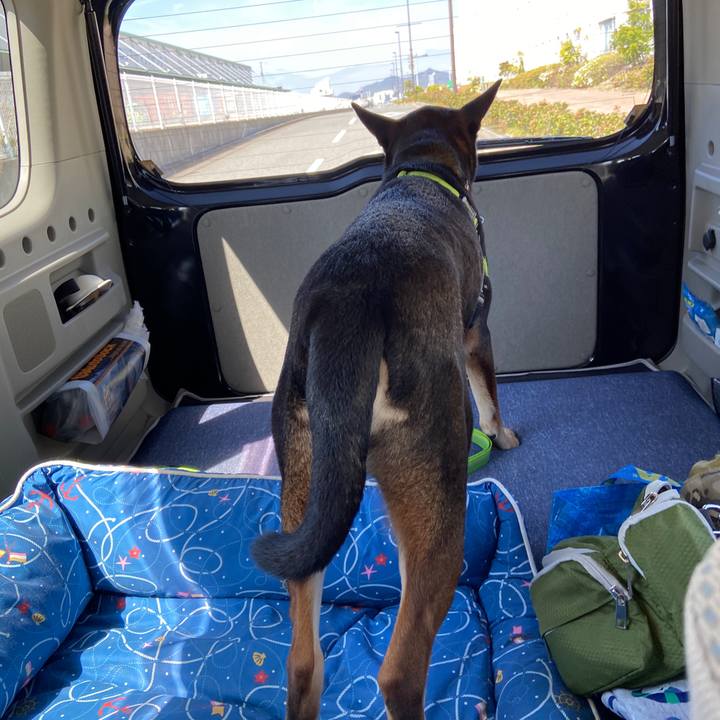 Bf313b6c 3baa 4abe 9f09 72553b0edafb 1618229535508