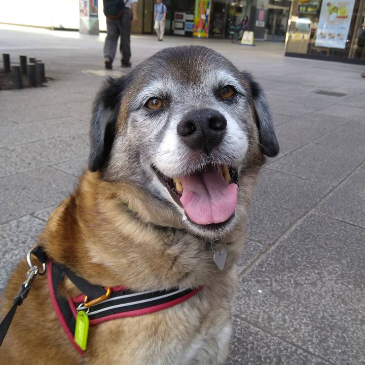 Bf31677b 7f40 4dc9 bb7c eeb287b819aa 1558916273231