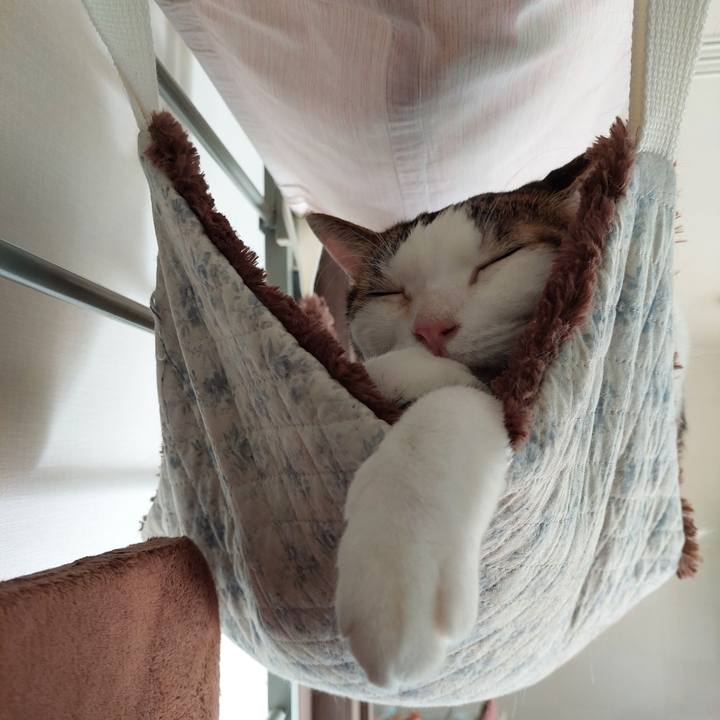 Bf318adf b328 430d b18a 6e4417435f8a 1698624991256