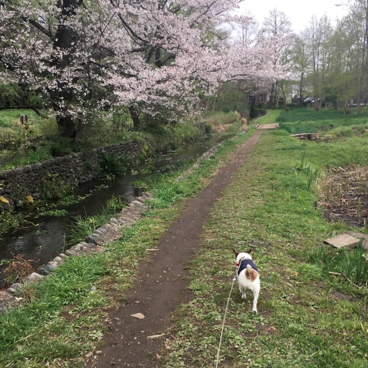 Bf318f52 cb72 4813 8a89 d282d932d1c2 1585865916034