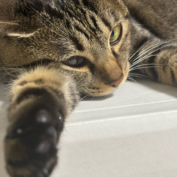 Bf3204a6 3f76 4462 bced 2bc2a0adb139 1766709519162