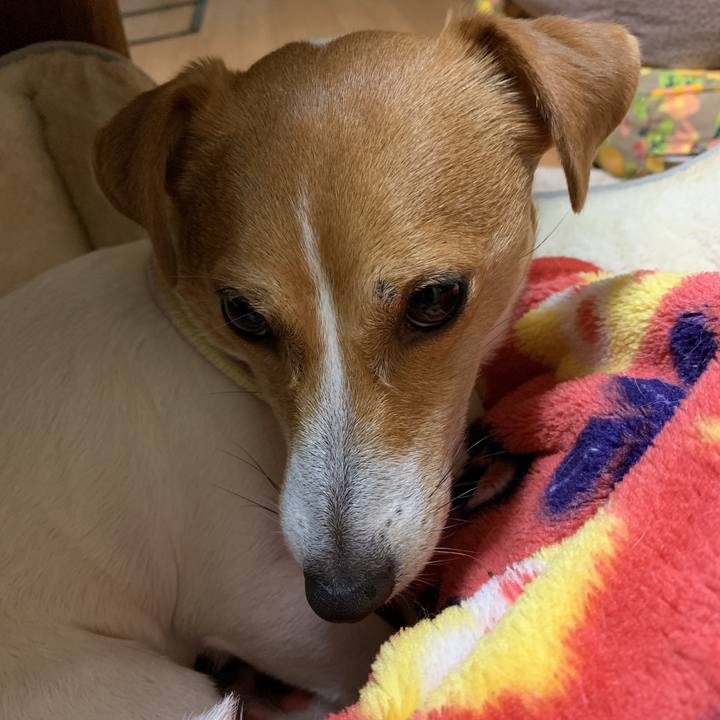 Bf322638 75ff 4bfc 9b48 65ef61c323f8 1579518954661