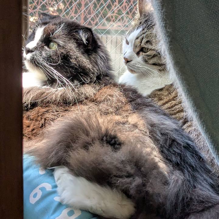 Bf32653d df56 4620 a583 2996371d52b8 1745725405019