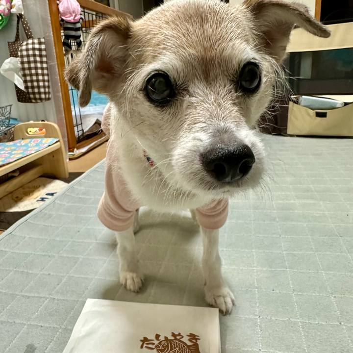 Bf3276bb 5315 4106 807a 826b6b9b0710 1762422337864