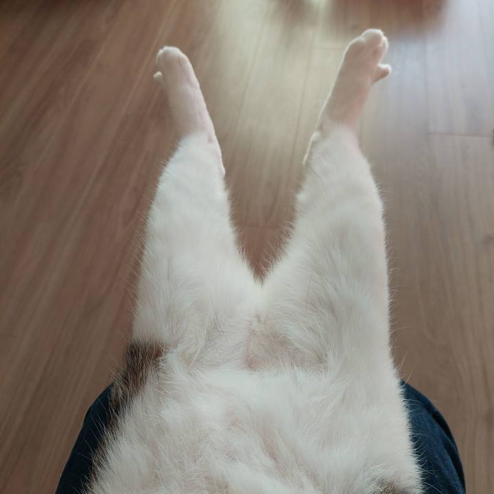 Bf32b0a5 9fa3 4a66 9e50 c4faed7b0507 1668212147391