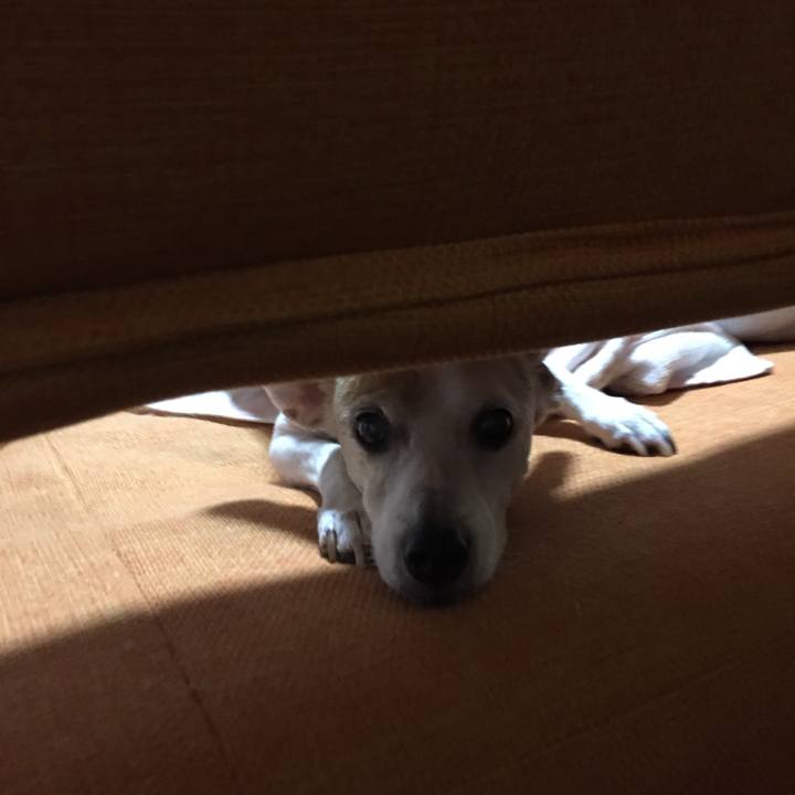 Bf32bb18 4a2b 4e4d b82b 3a2acffea0b3 1539419076262