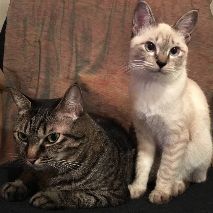 Bf32bb9c 07d4 41c2 bb9d 152c3fdc857f 1541591793711