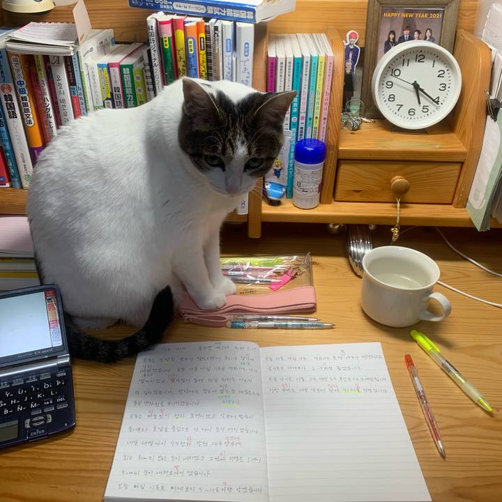 Bf32de2c c8ce 4e98 81bf 37991520e231 1639773215822