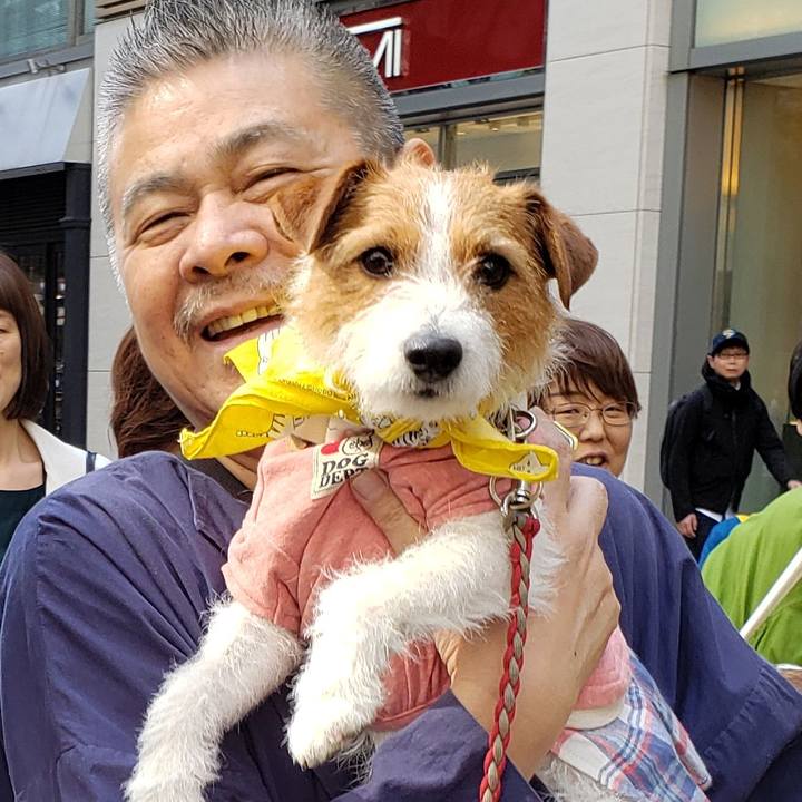 Bf32f979 a78b 4bb6 9b4e 900a66e3c34c 1555772108498