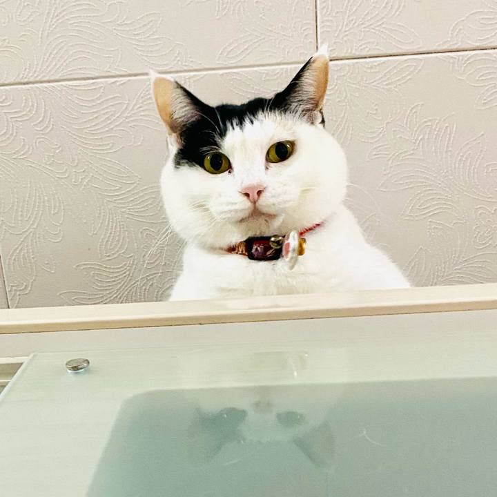 Bf331406 9340 4f55 aca8 9e933e83c617 1730213462293