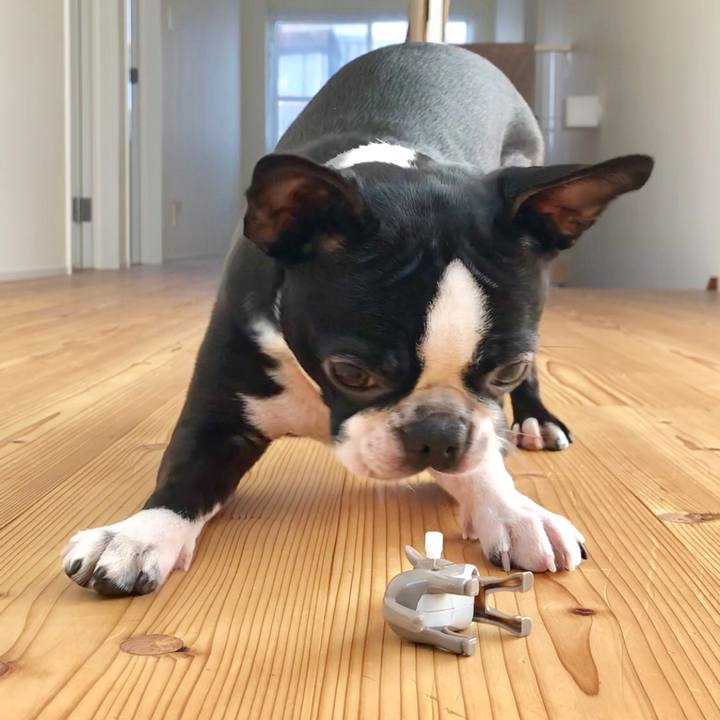 Bf336a21 e448 414f 8485 d45011bba12c 1515721403913