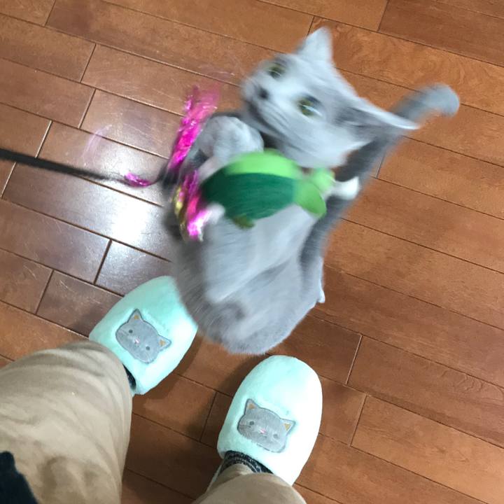 Bf33a384 57c4 4a2d a1e2 ad38c3fede9f 1518794194743