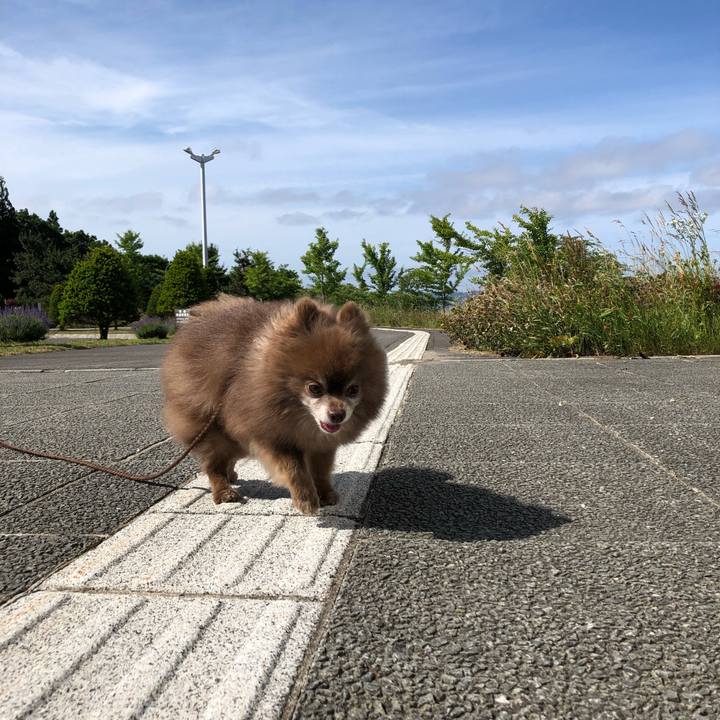 Bf33ba15 5282 4dca a91b c6699fc98f2f 1625358226052