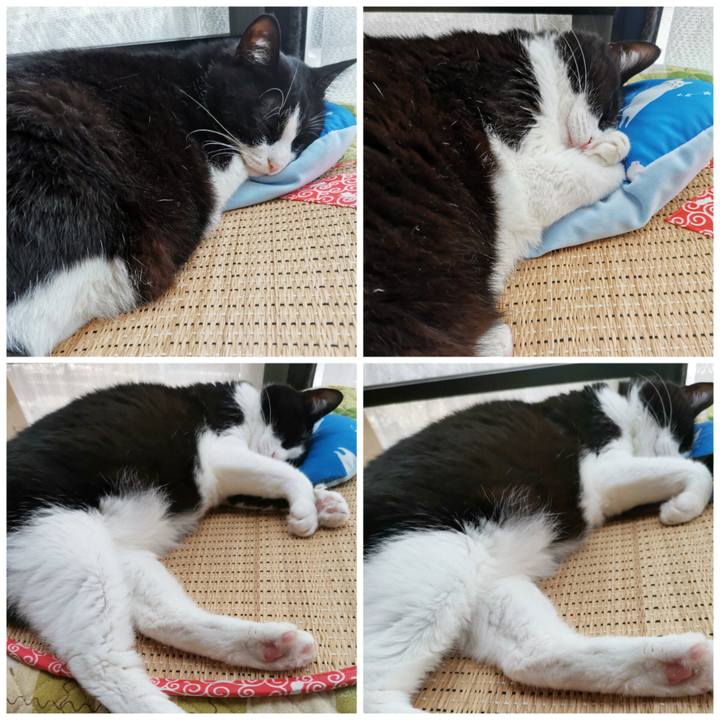 Bf340a3e a0ae 435a 857f 676679e8d0a0 1687405910349