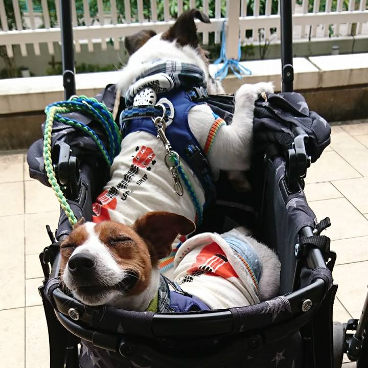 Bf341788 9ea7 46fb b249 660a20e2f9f8 1593400872097